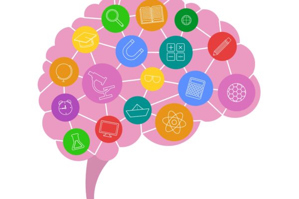 Brain Stimulating Activities That Increase Neural Connections