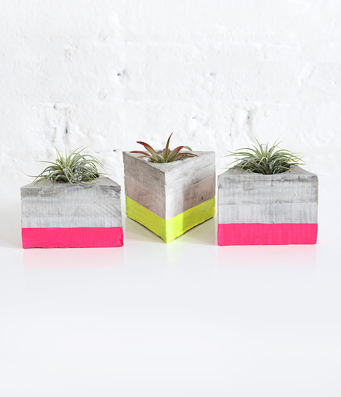 diy quick dry cement plant holder