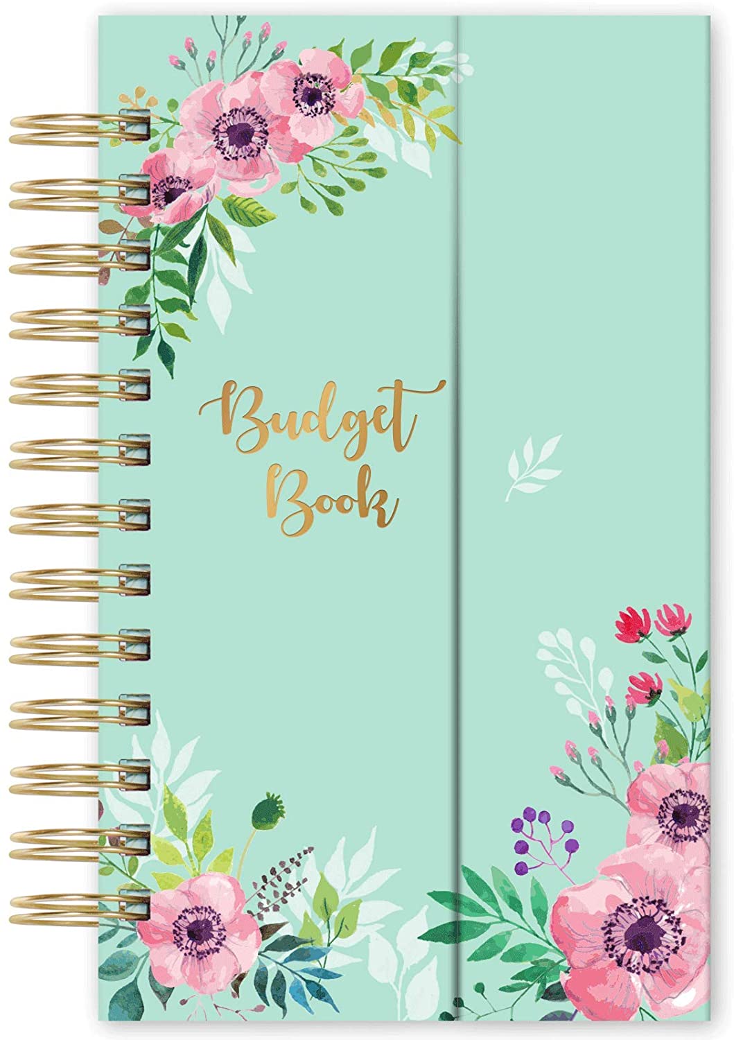 frasukis budget planner