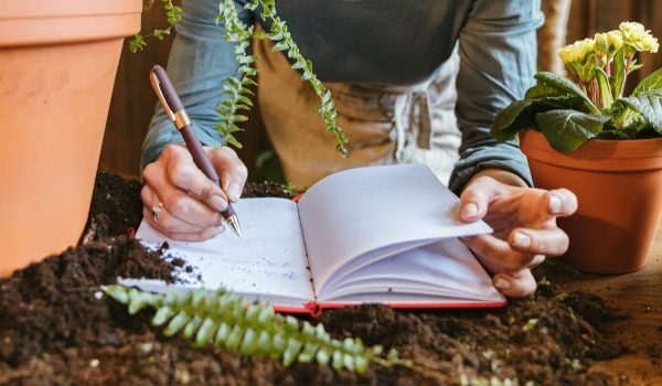 Exact Way I Keep a Garden Journal That Made Me a Better Gardener