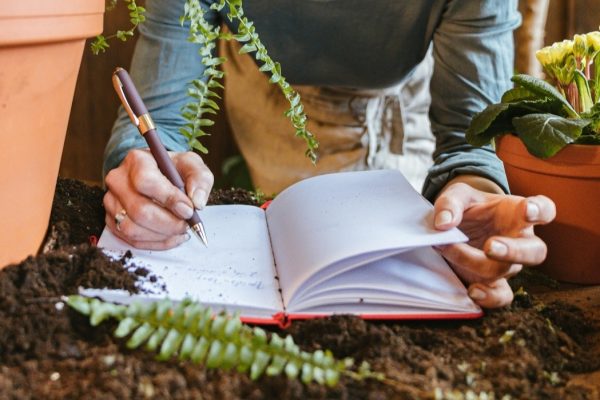 Exact Way I Keep a Garden Journal That Made Me a Better Gardener